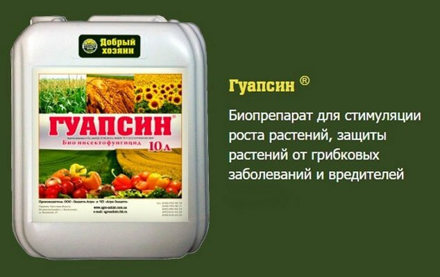 Гуапсин