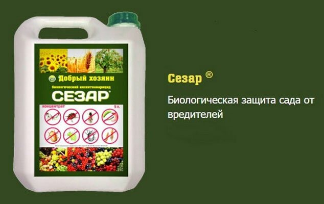 Биологический инсектицид Сезар